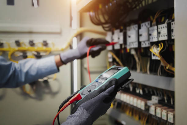 Best Electrical Panel Upgrades  in Elroy, WI